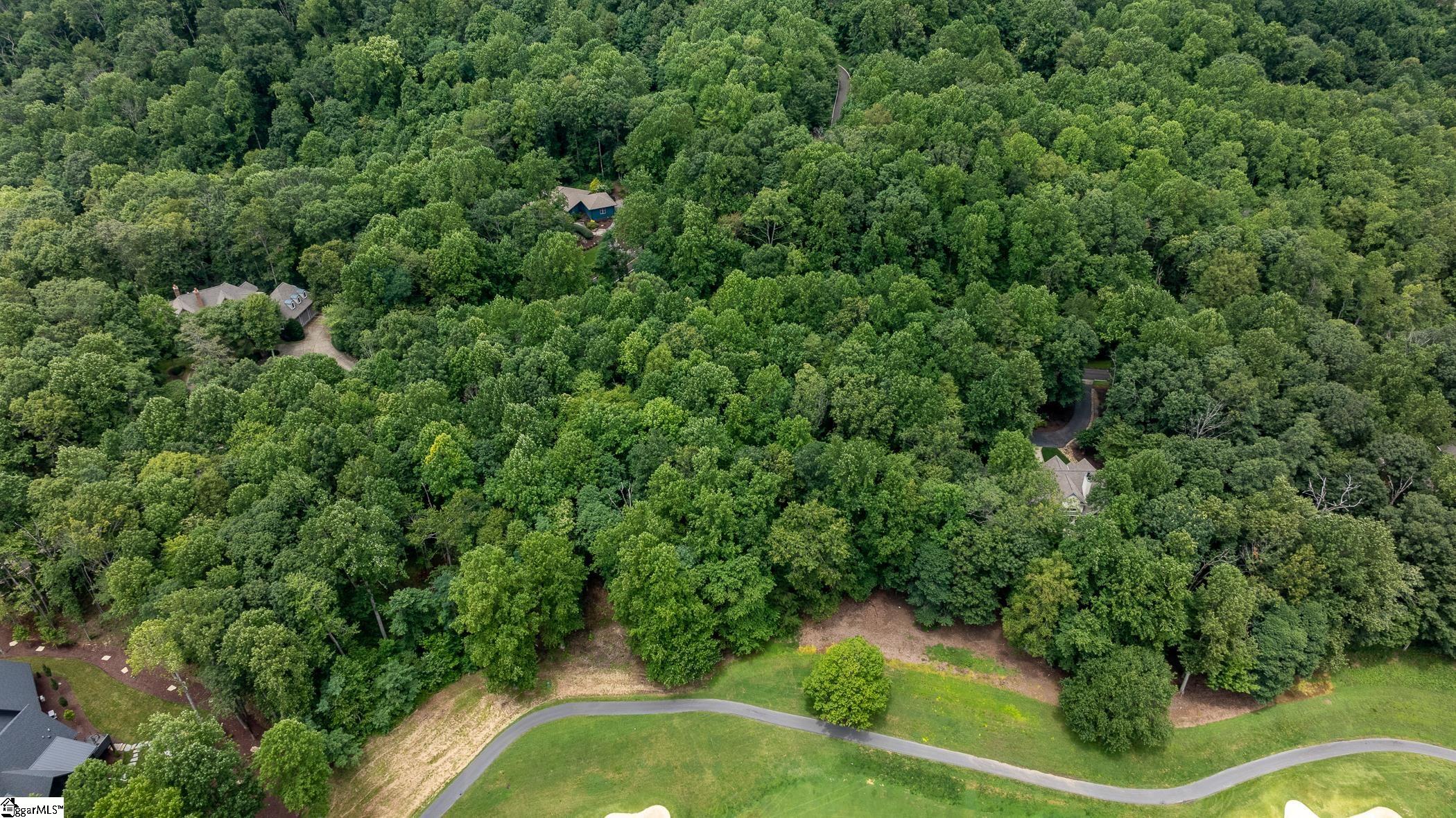 30 Snap Dragon Way Landrum, SC 29356-3329