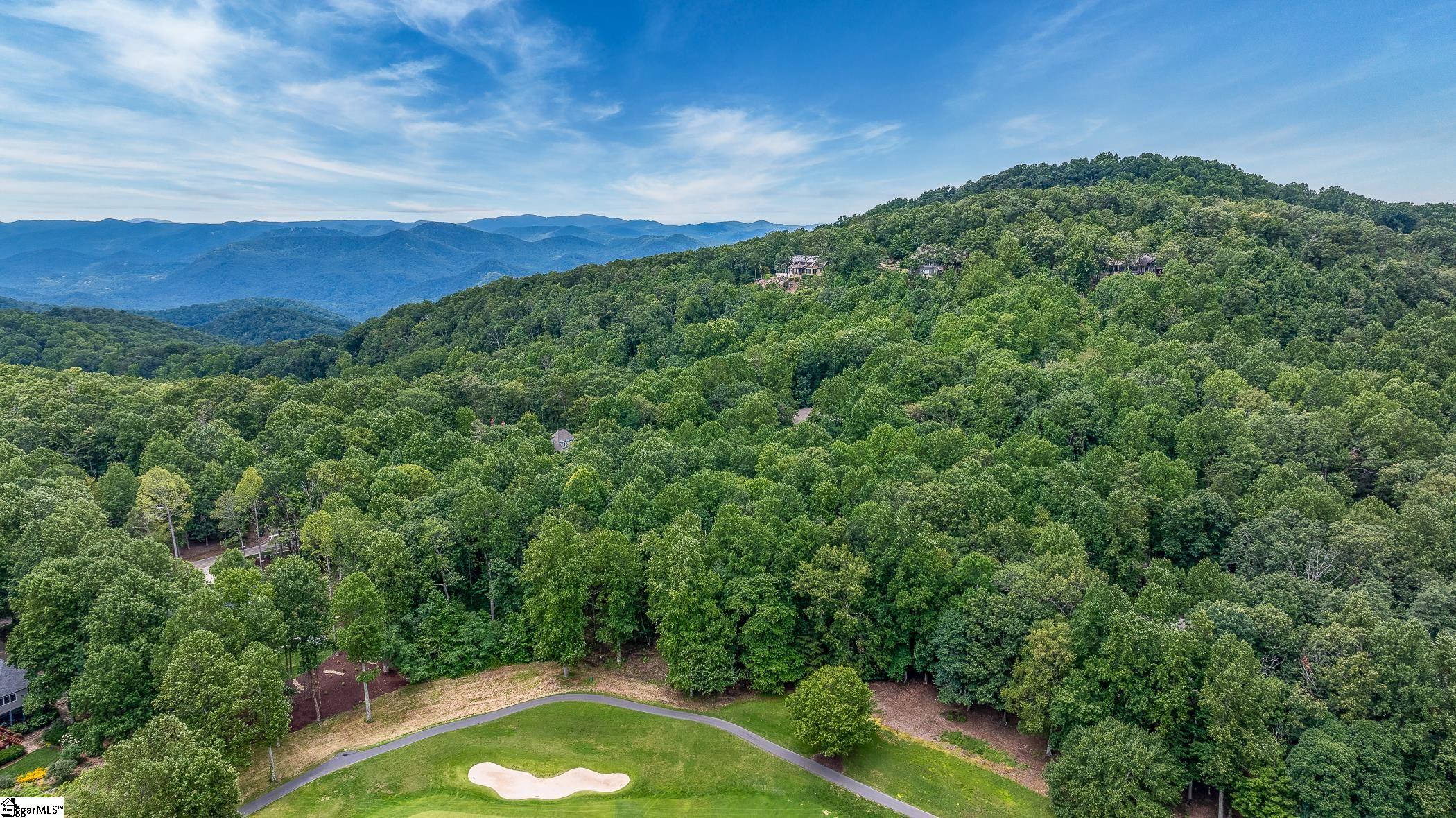 30 Snap Dragon Way Landrum, SC 29356-3329
