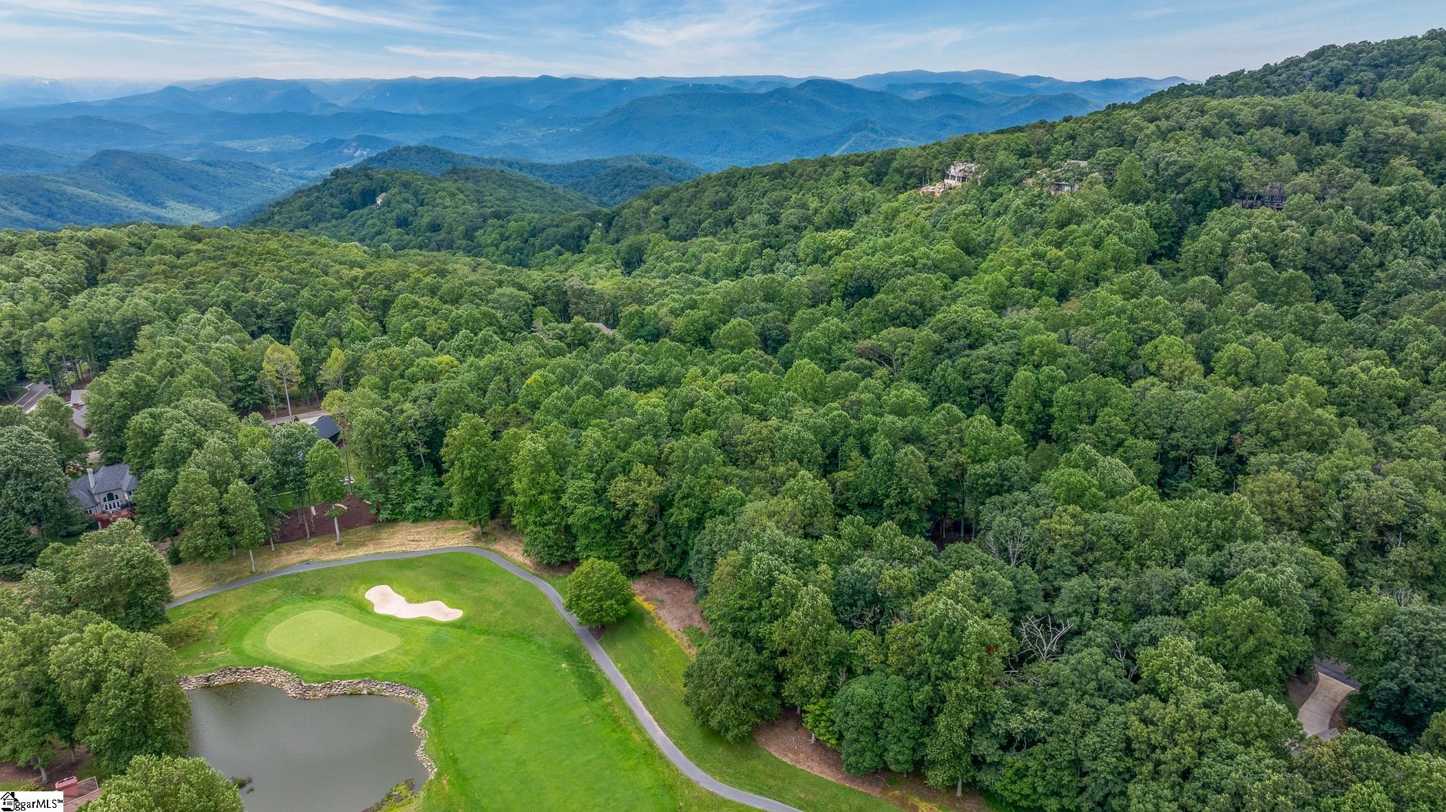 30 Snap Dragon Way Landrum, SC 29356-3329