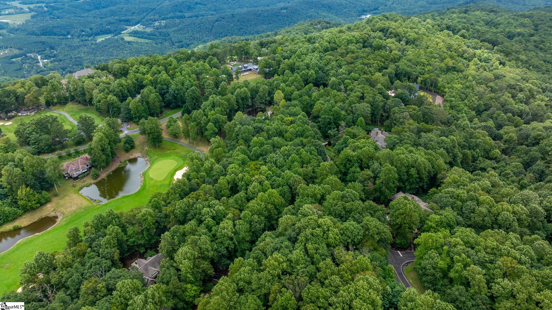 30 Snap Dragon Way Landrum, SC 29356-3329