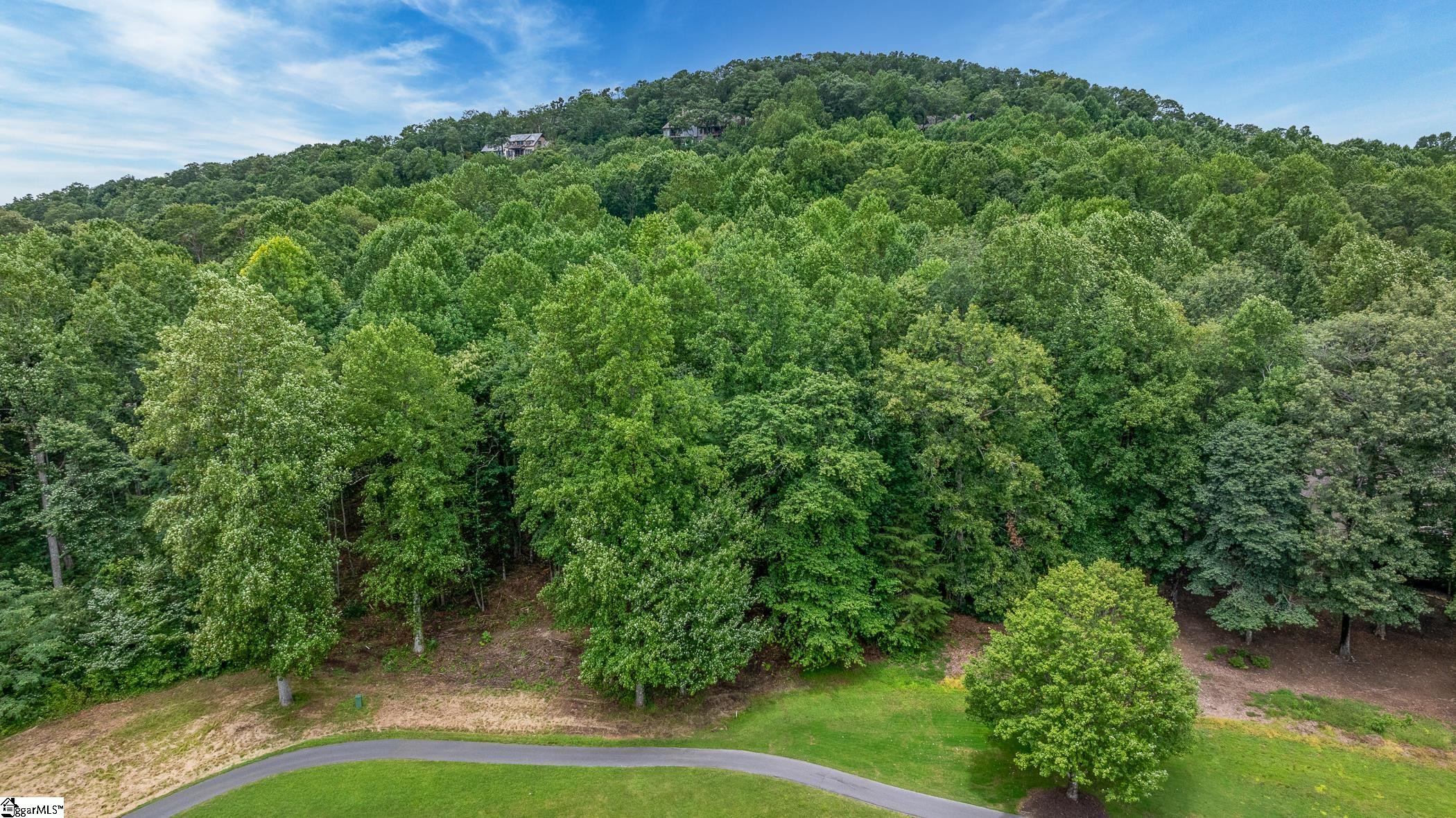 30 Snap Dragon Way Landrum, SC 29356-3329