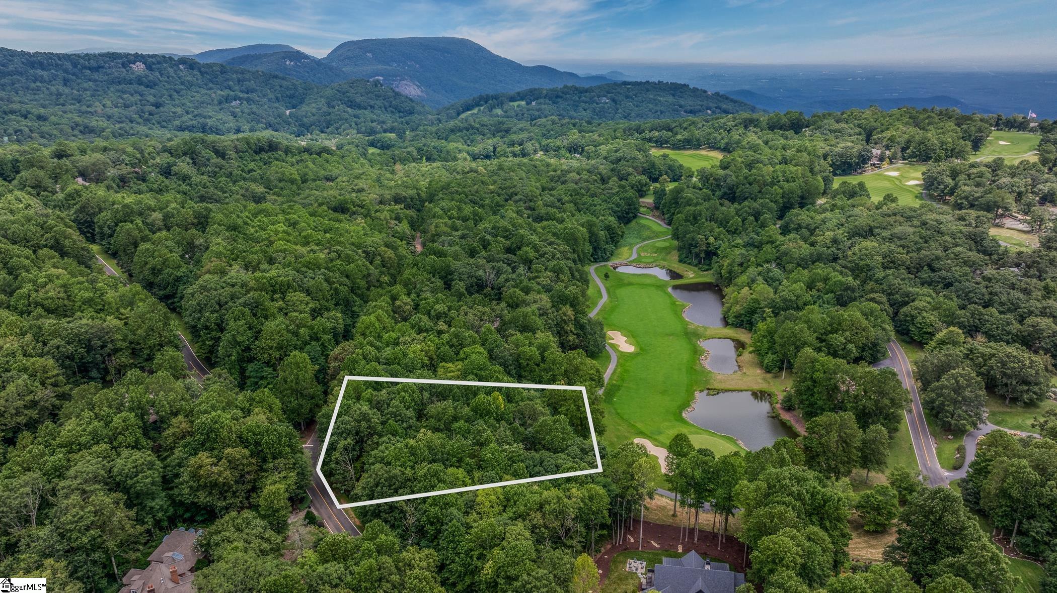30 Snap Dragon Way Landrum, SC 29356-3329