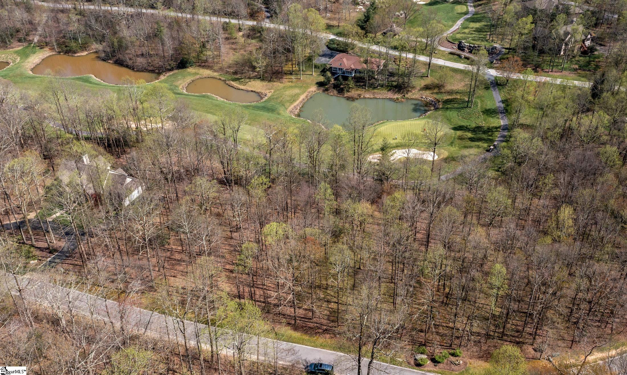 30 Snap Dragon Way Landrum, SC 29356-3329