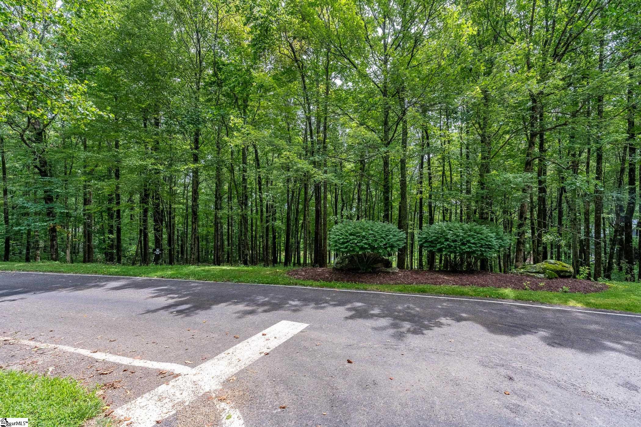 30 Snap Dragon Way Landrum, SC 29356-3329