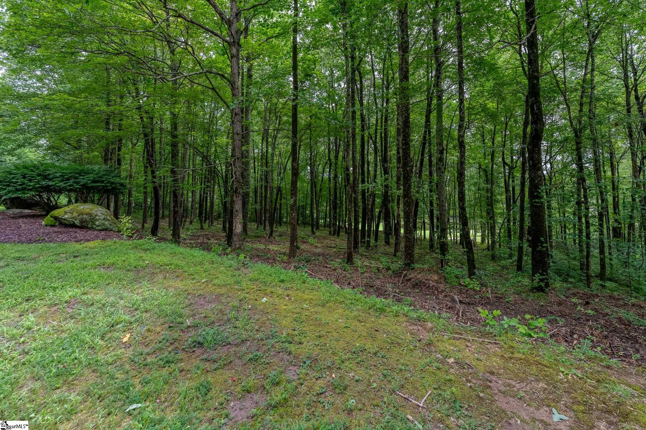 30 Snap Dragon Way Landrum, SC 29356-3329