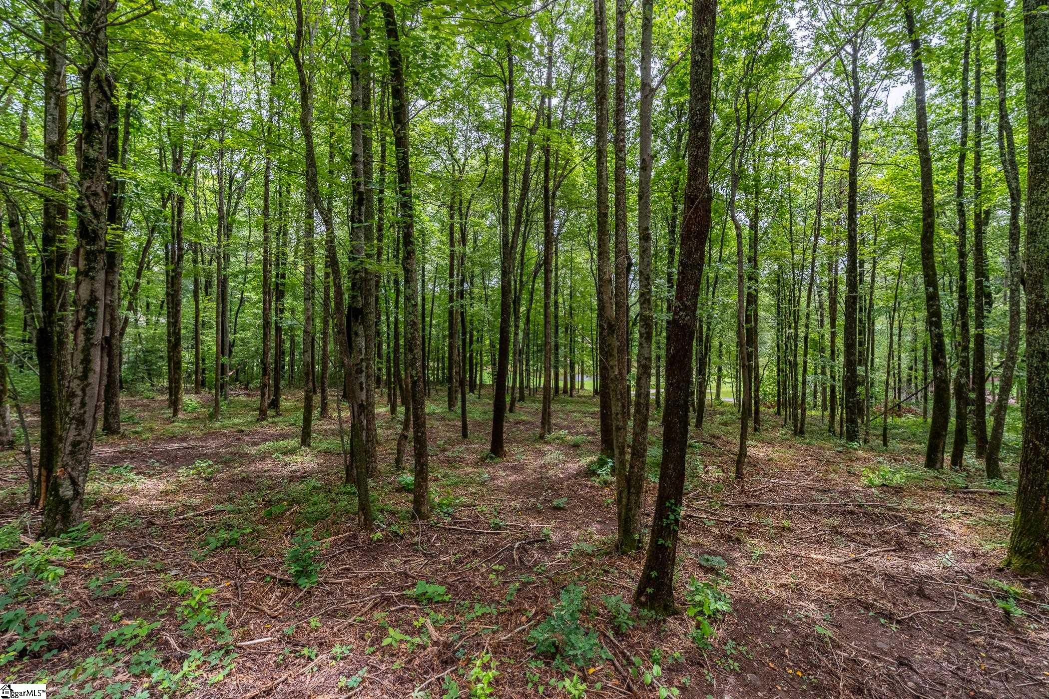 30 Snap Dragon Way Landrum, SC 29356-3329