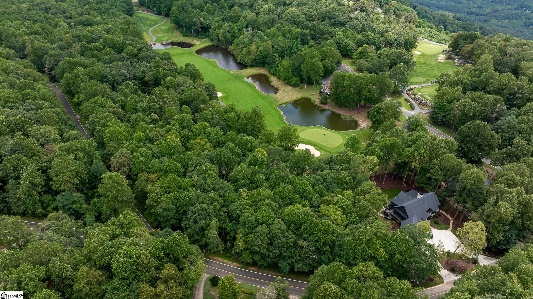 30 Snap Dragon Way Landrum, SC 29356-3329