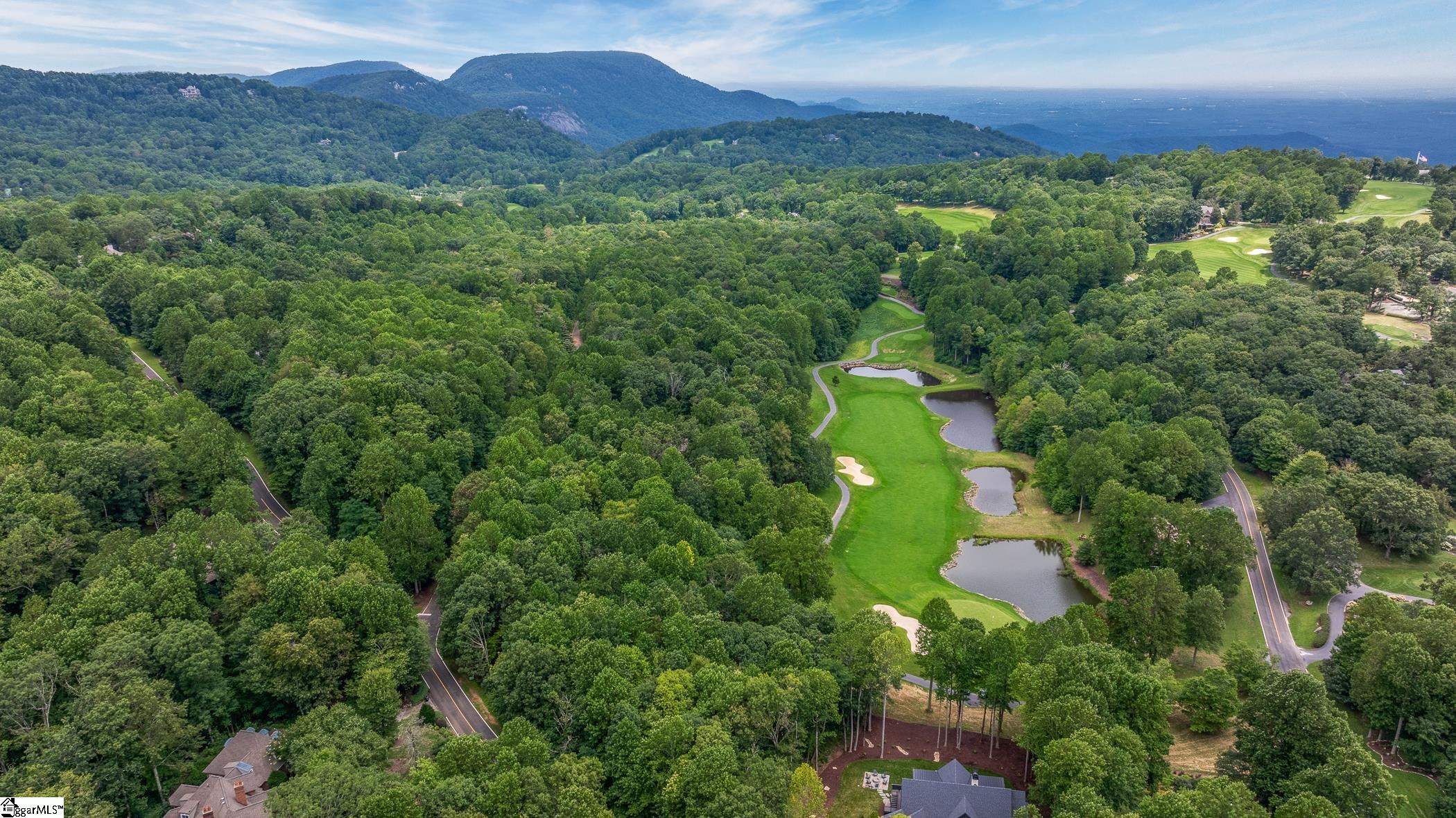 30 Snap Dragon Way Landrum, SC 29356-3329
