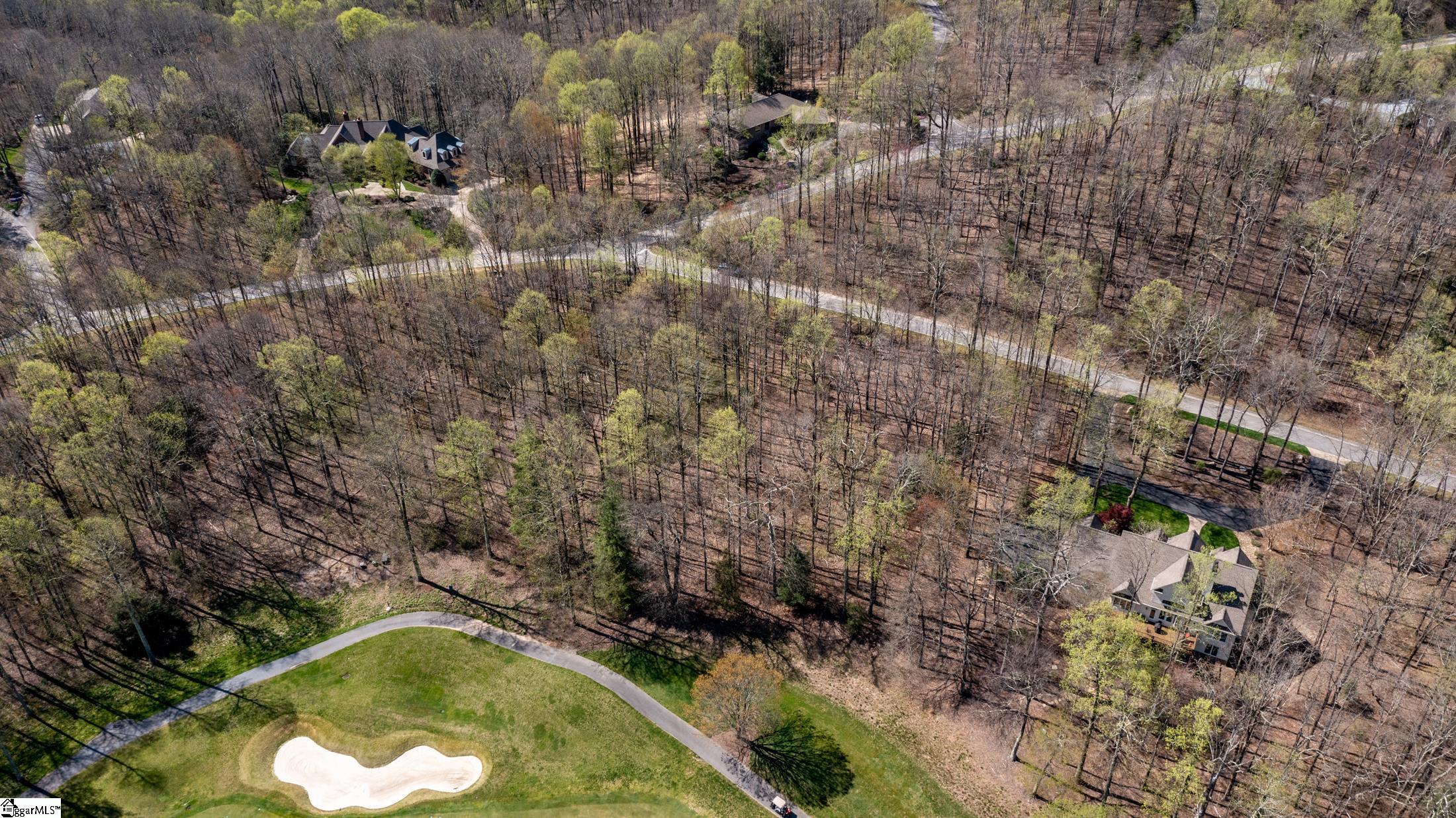 30 Snap Dragon Way Landrum, SC 29356-3329