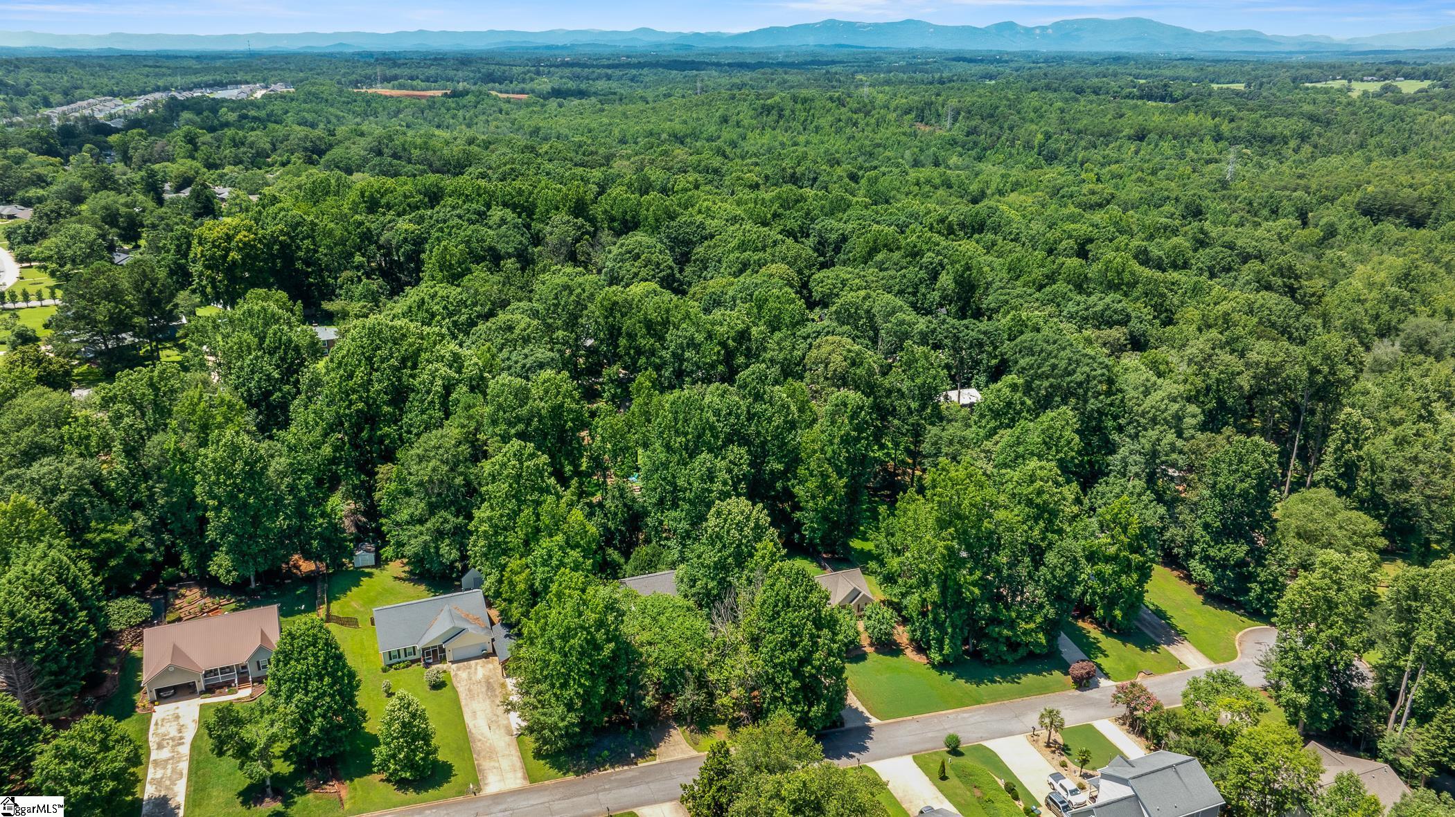 141 Ashlan Woods Court Greer, SC 29651
