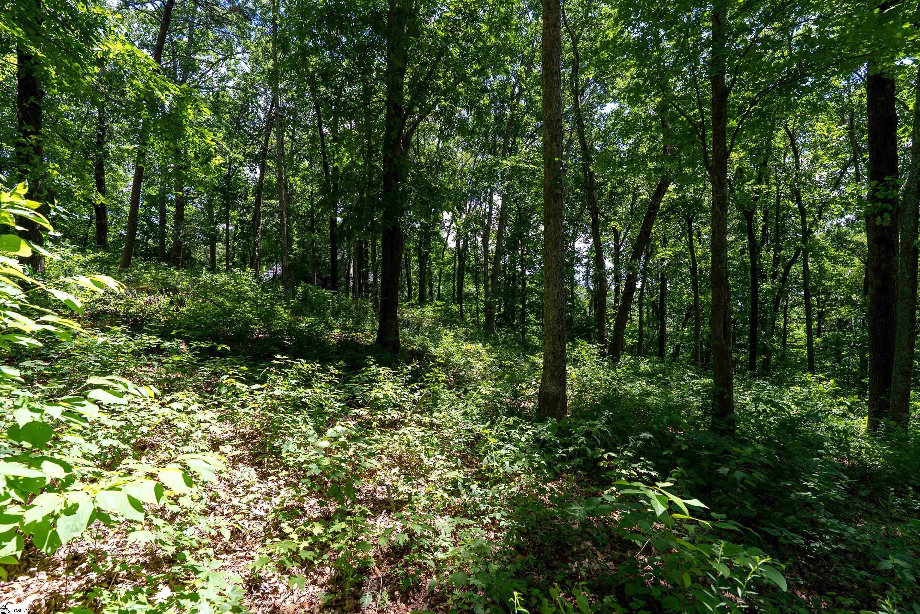 22 Raven Road Landrum, SC 29356