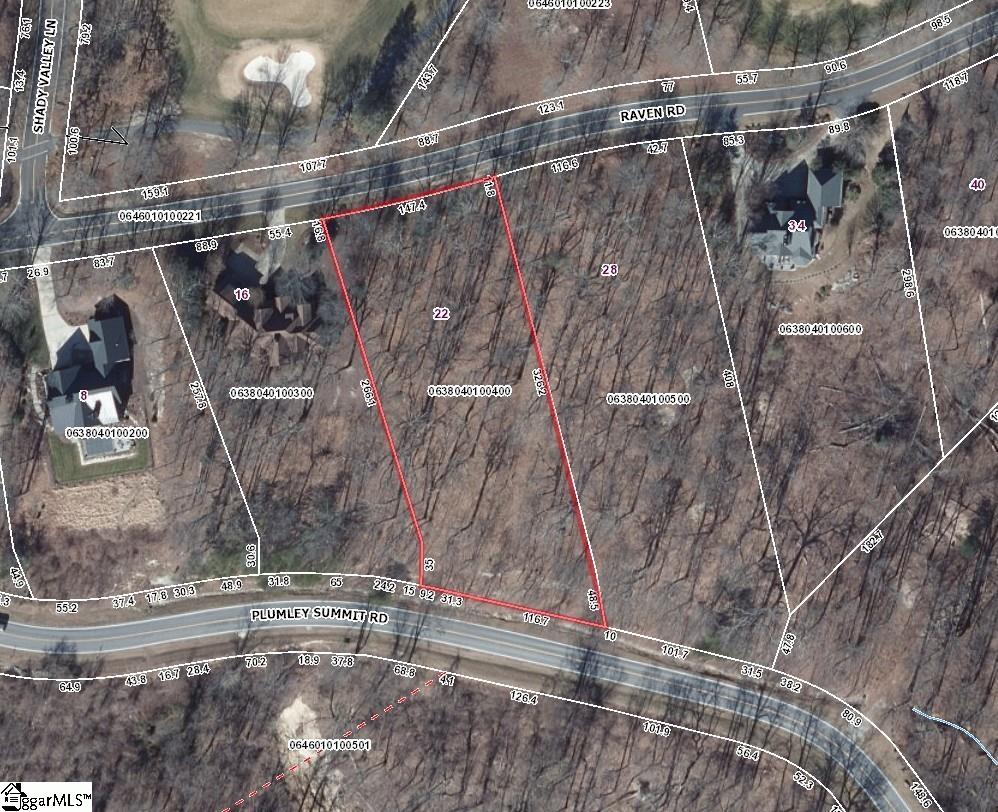 22 Raven Road Landrum, SC 29356