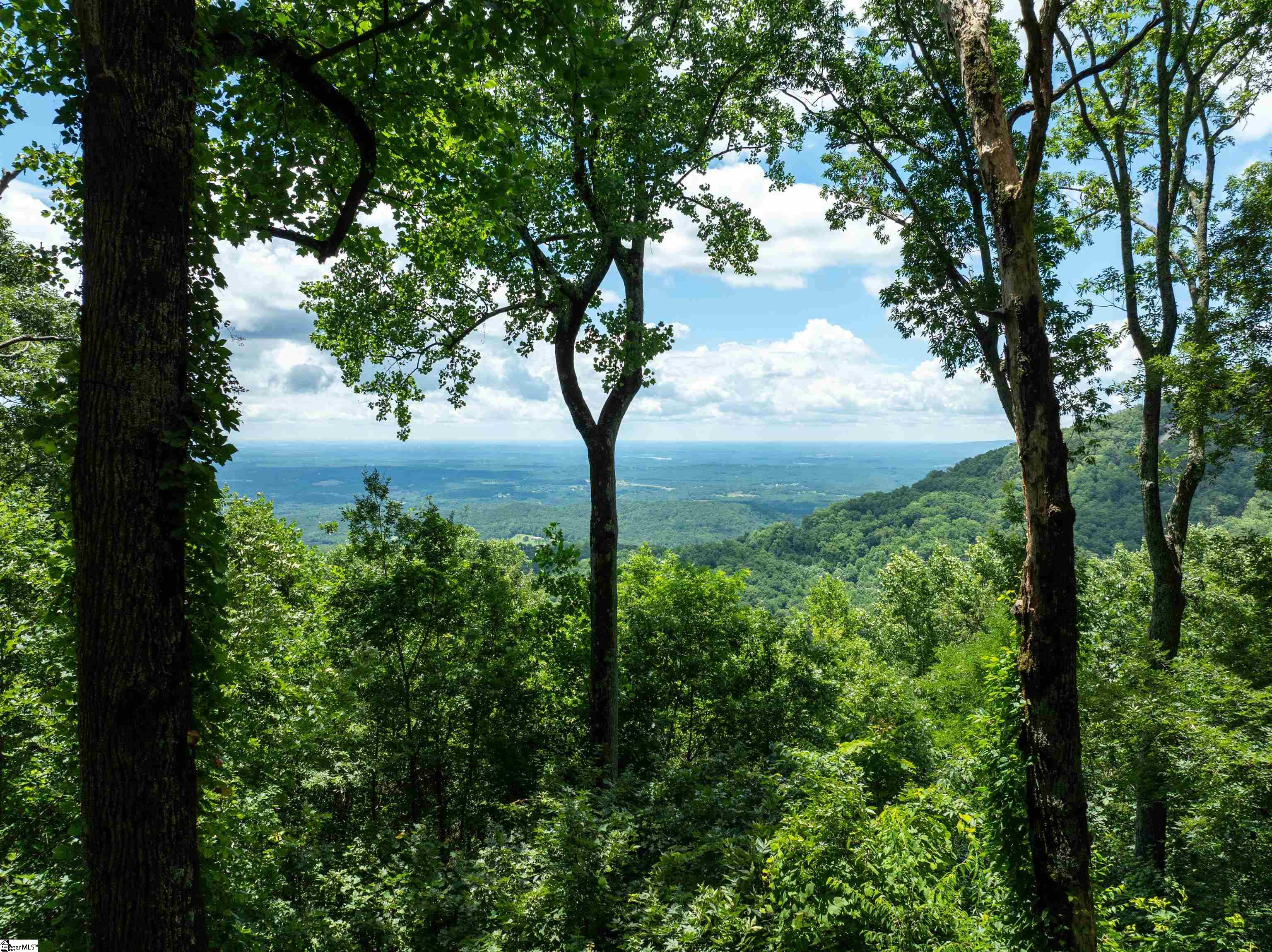 22 Raven Road Landrum, SC 29356