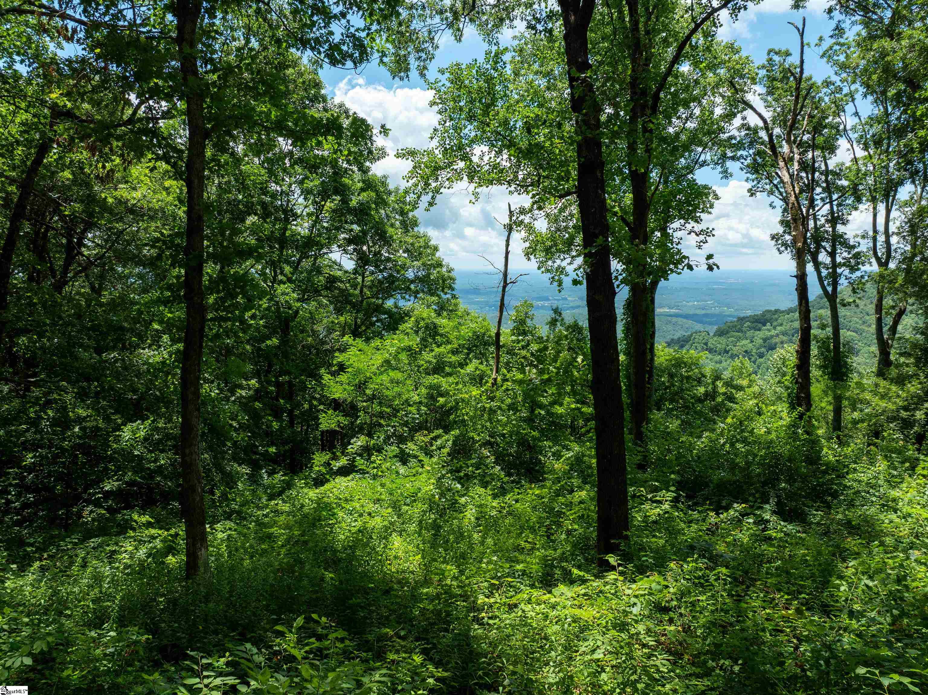 22 Raven Road Landrum, SC 29356
