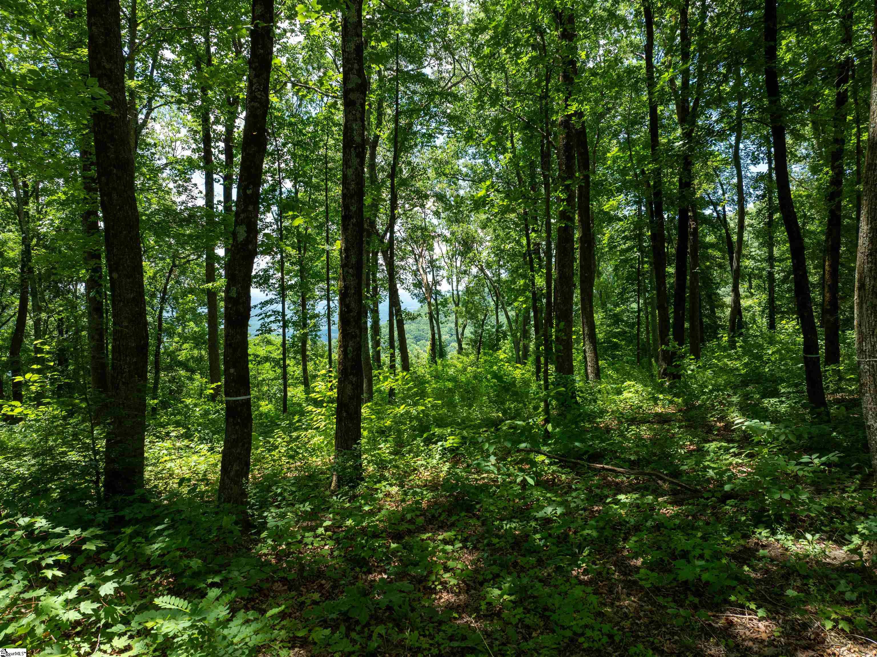 22 Raven Road Landrum, SC 29356