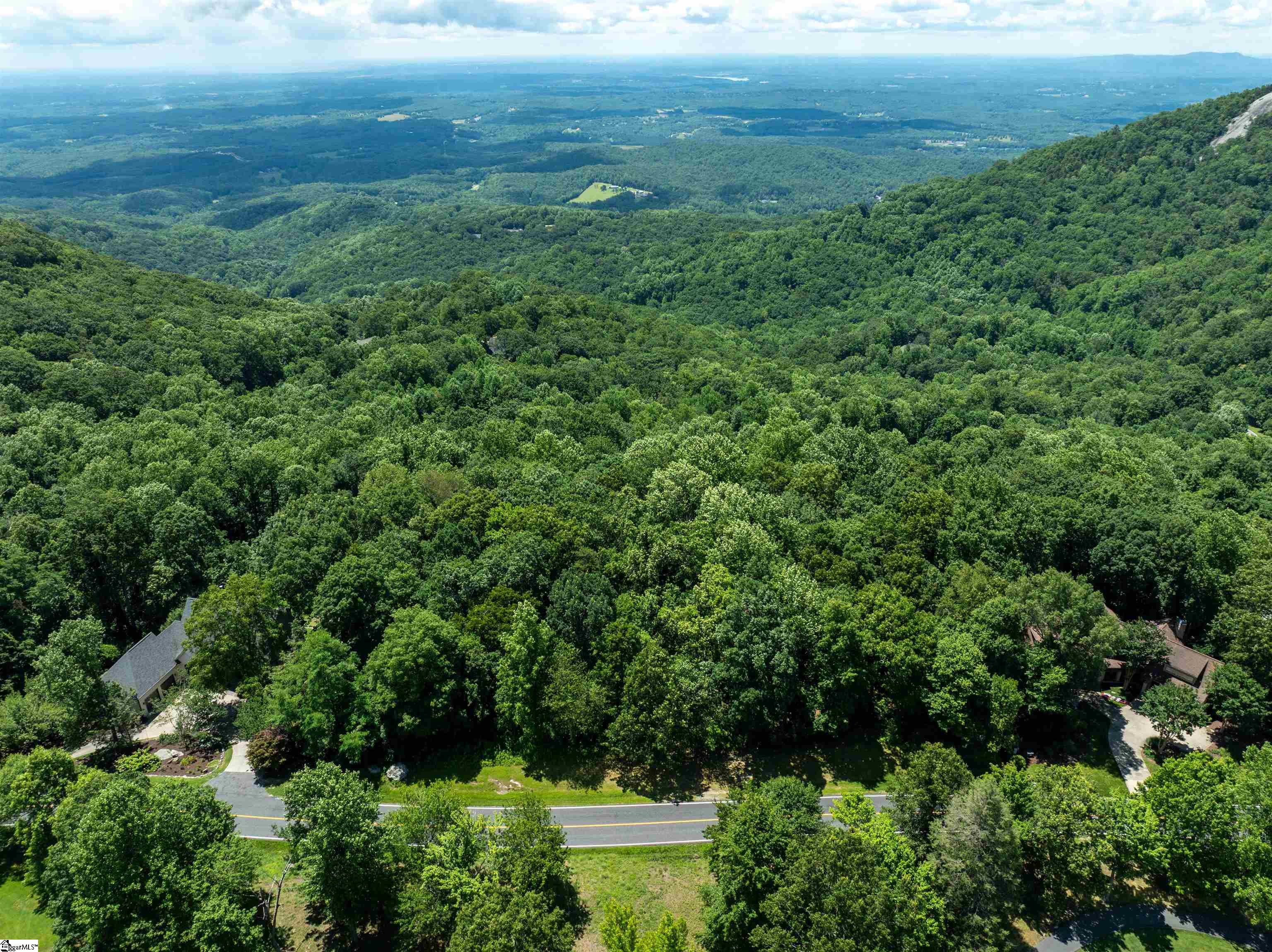 22 Raven Road Landrum, SC 29356