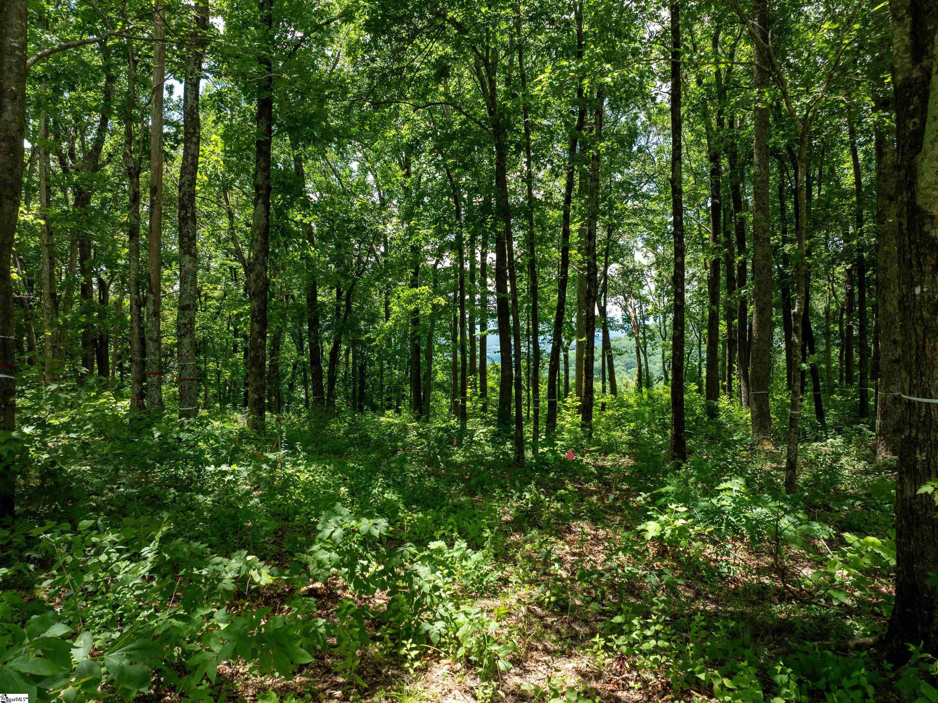 28 Raven Road Landrum, SC 29356