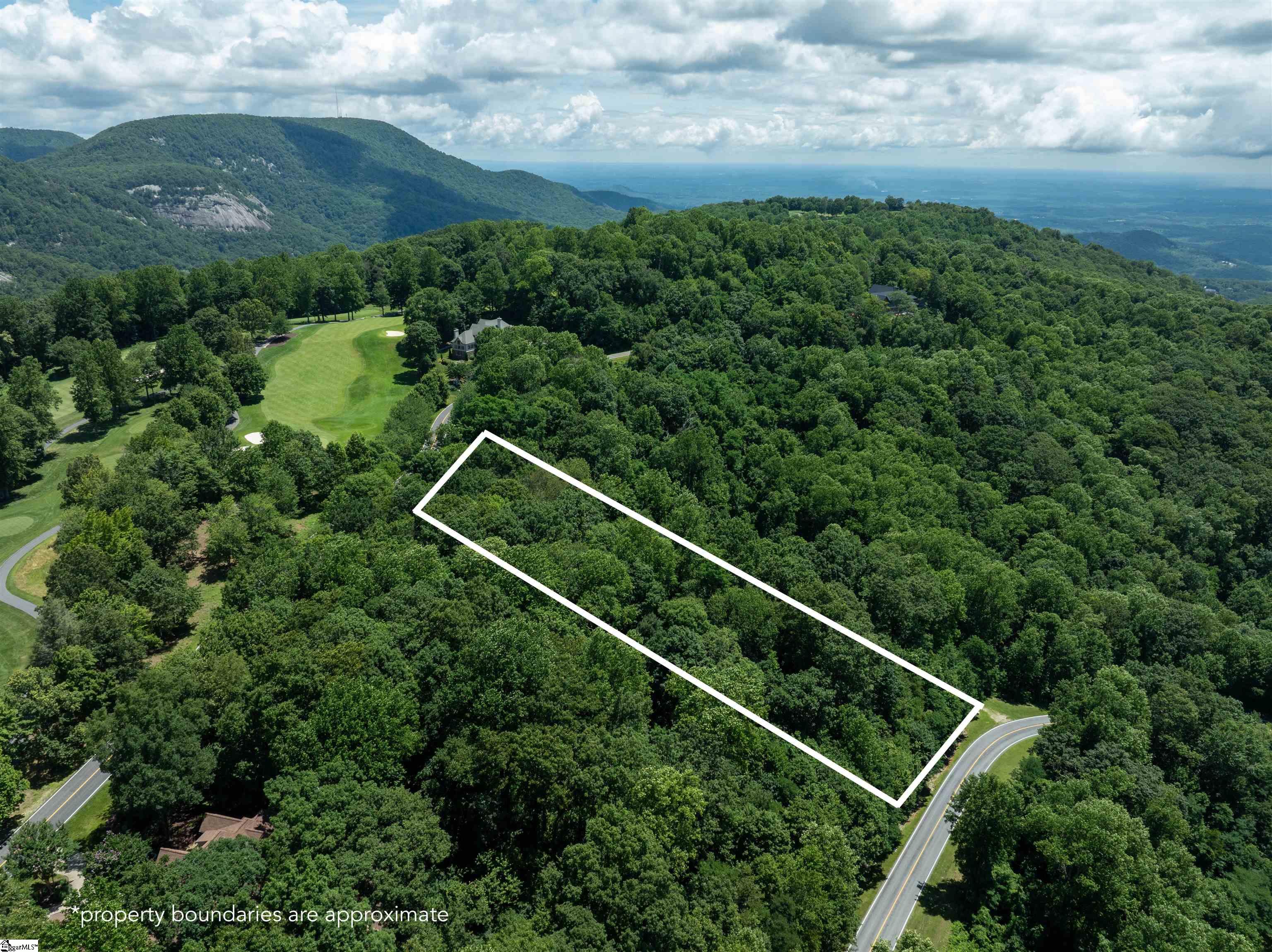 28 Raven Road Landrum, SC 29356