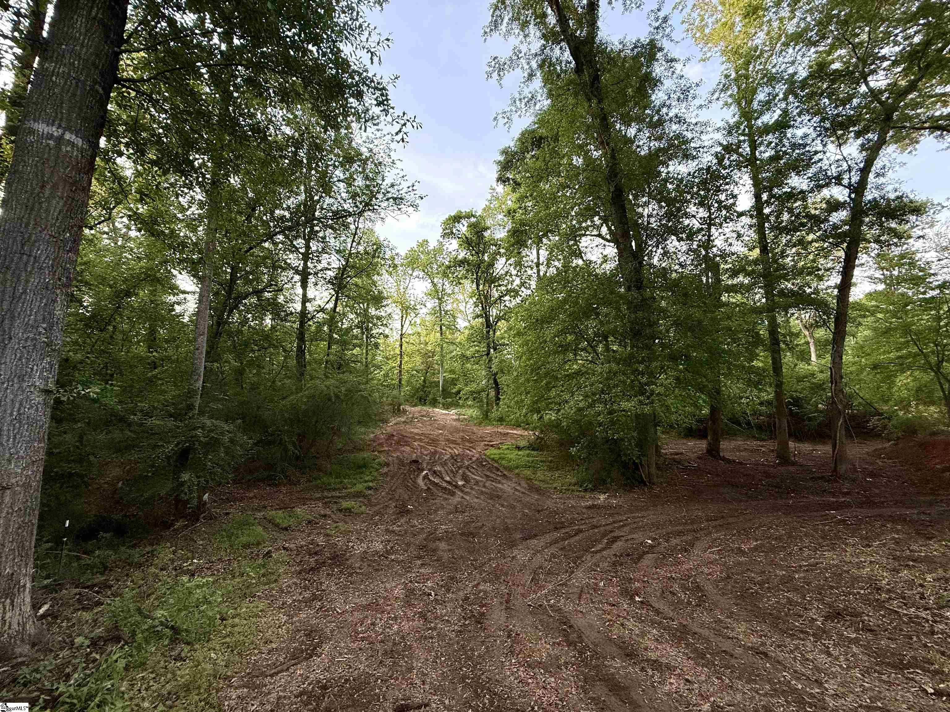 202 Randolph Court Woodruff, SC 29388-8604