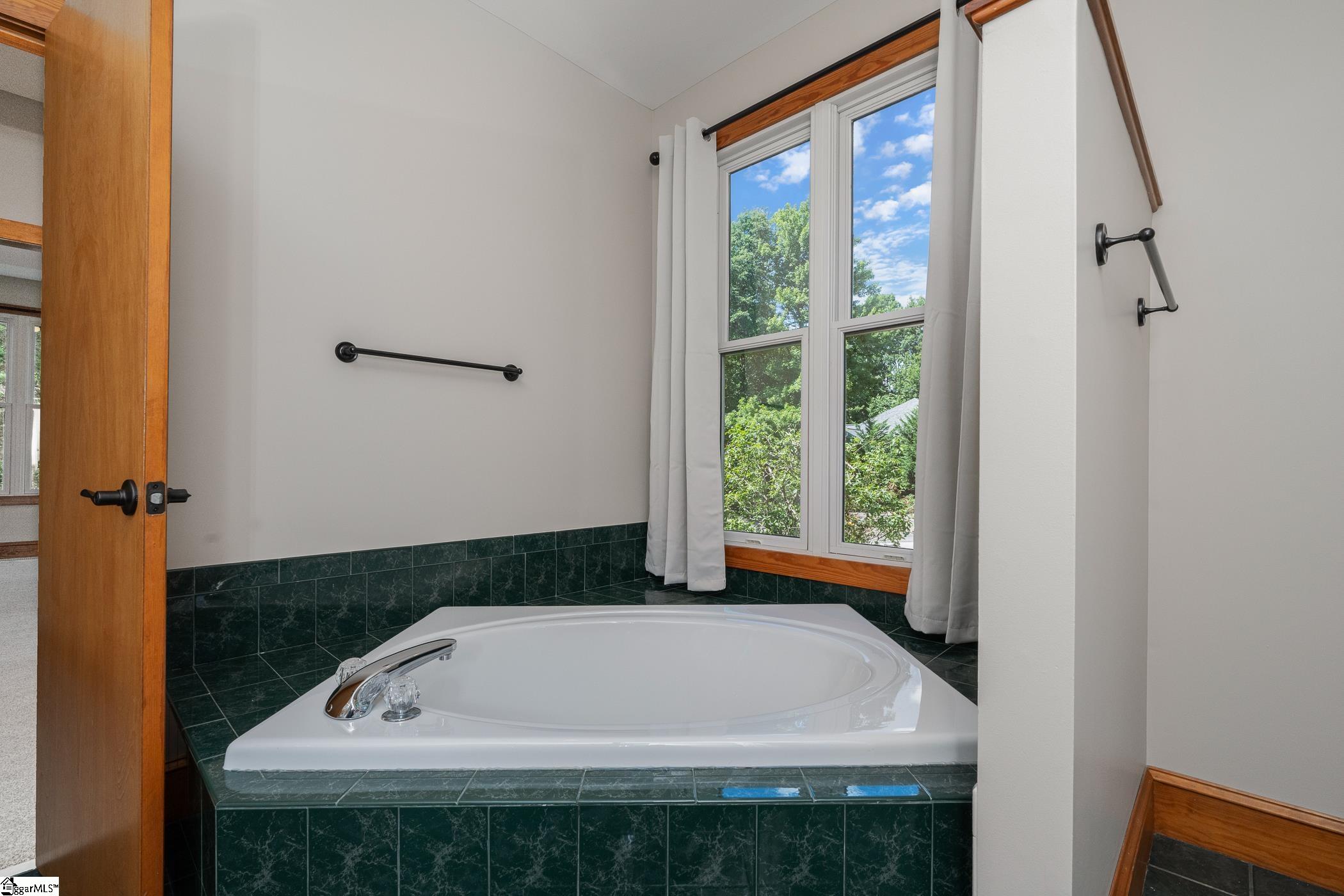 1 Northstar Lane Landrum, SC 29356