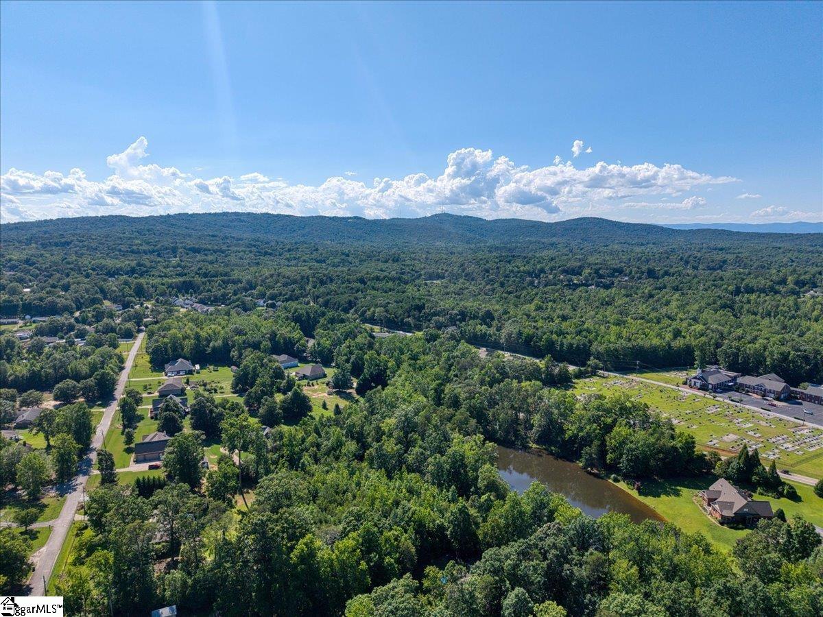 10 Hannah Springs Court Taylors, SC 29687
