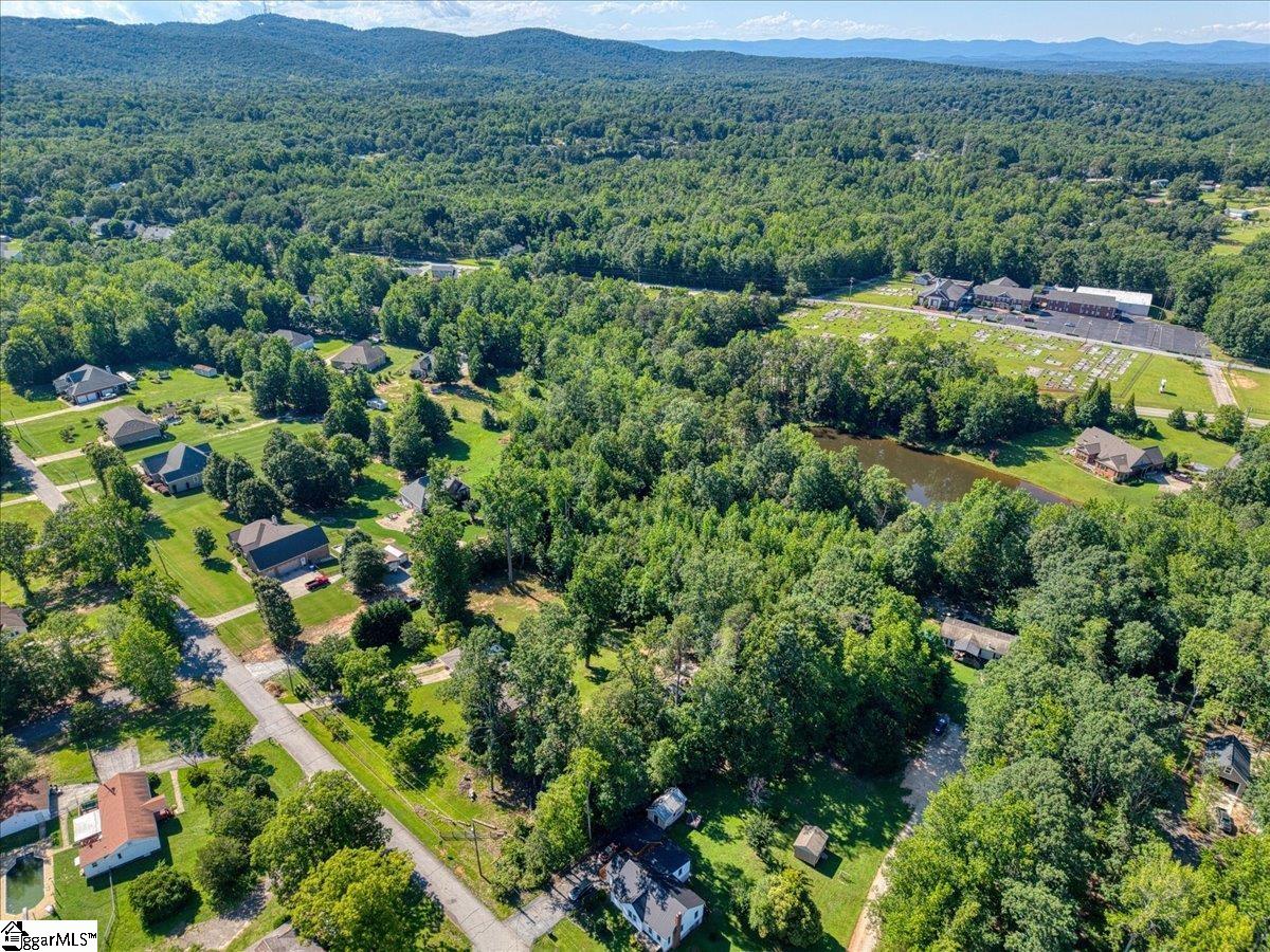 10 Hannah Springs Court Taylors, SC 29687