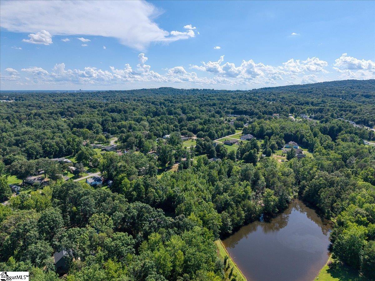 10 Hannah Springs Court Taylors, SC 29687
