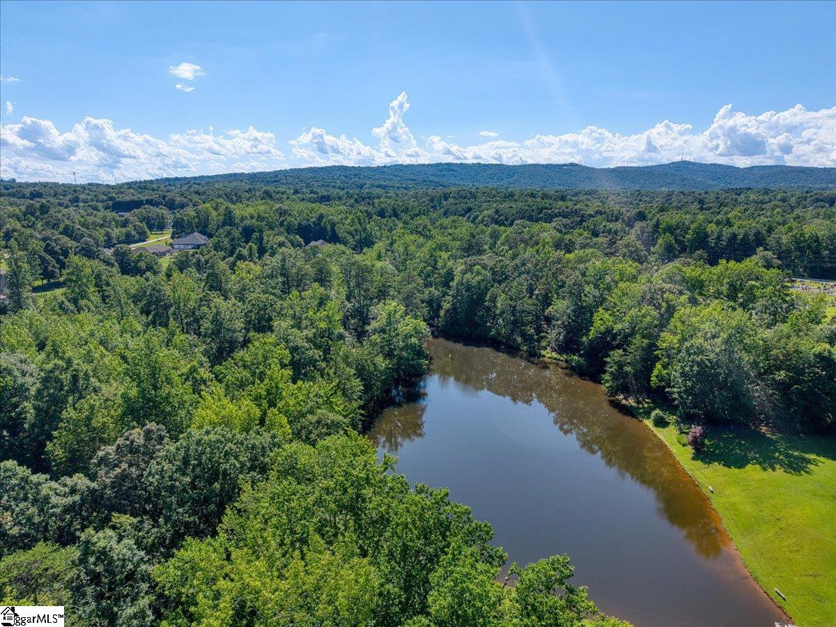 10 Hannah Springs Court Taylors, SC 29687