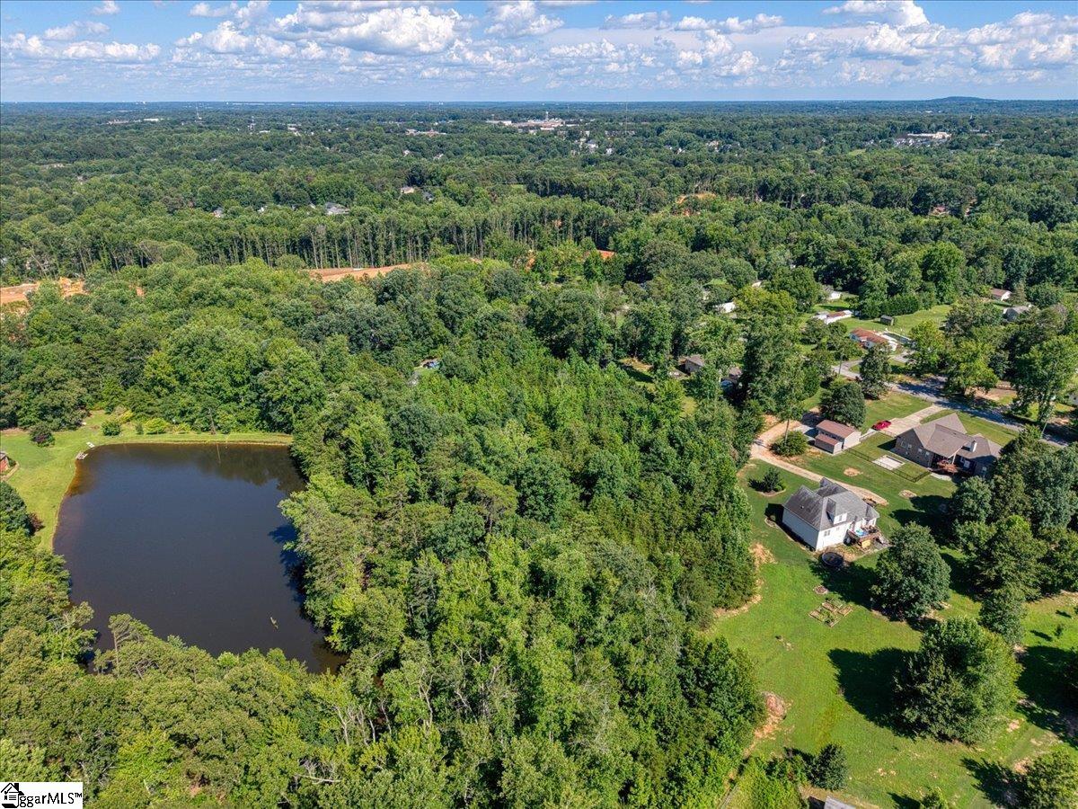 10 Hannah Springs Court Taylors, SC 29687