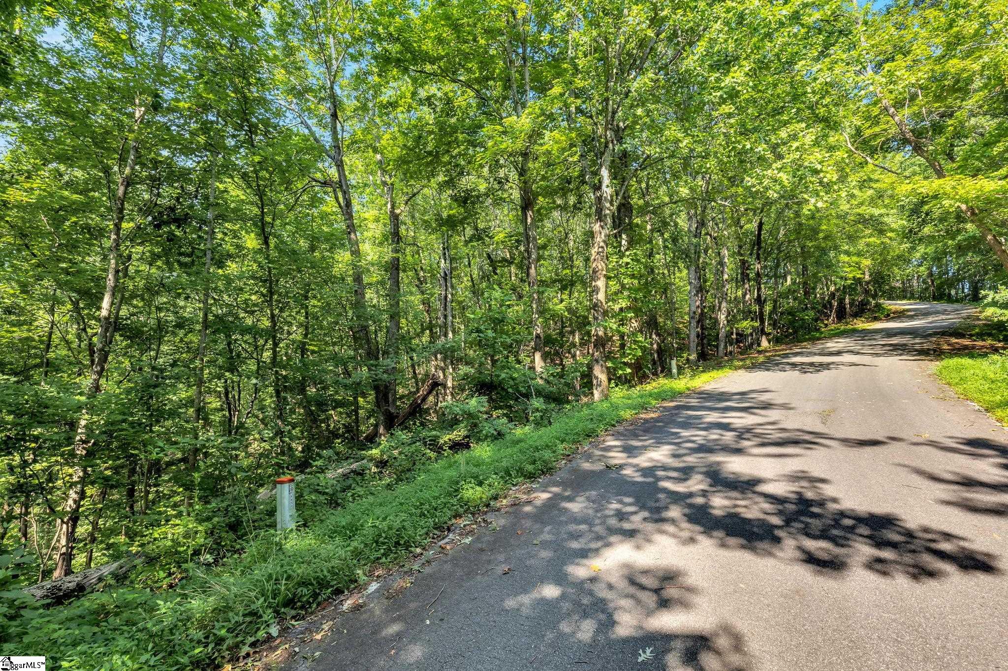 00 Old Chapman Trail Pickens, SC 29671