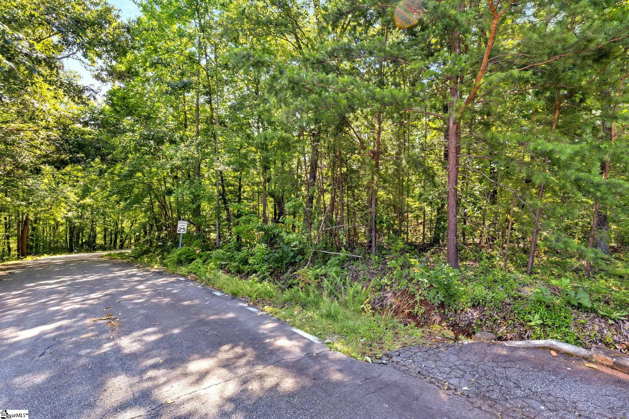 00 Old Chapman Trail Pickens, SC 29671
