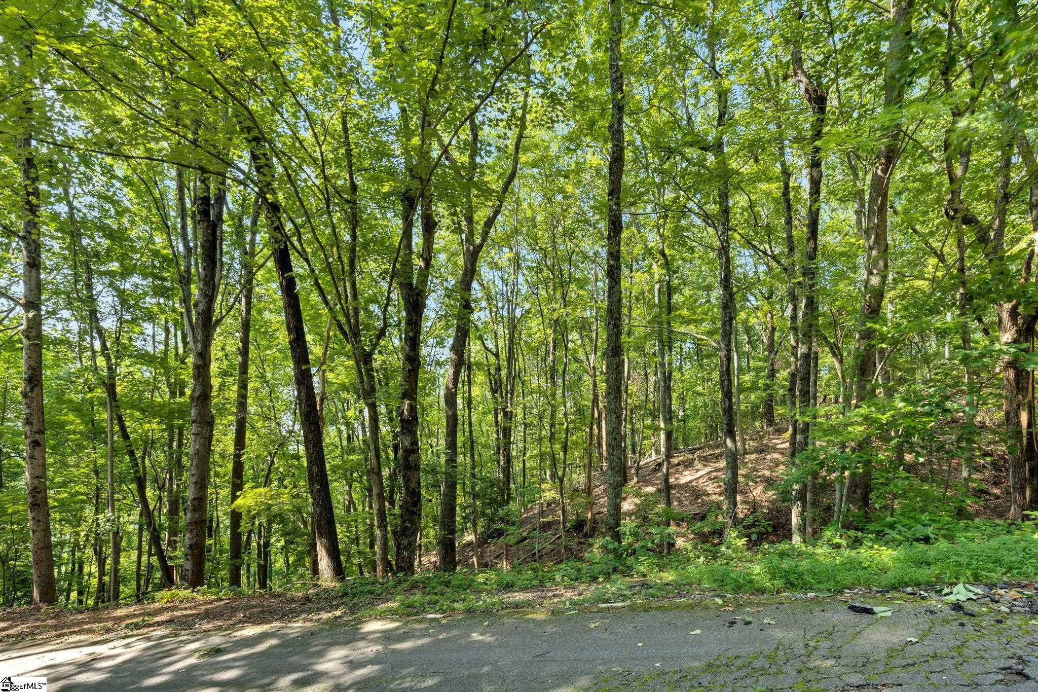 00 Old Chapman Trail Pickens, SC 29671