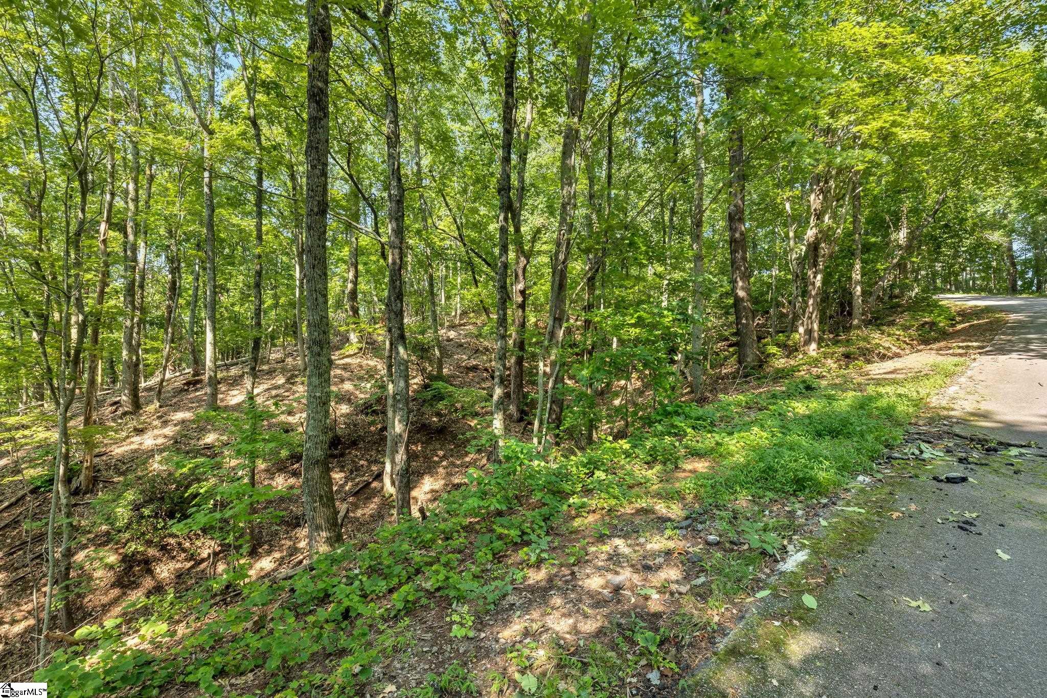 00 Old Chapman Trail Pickens, SC 29671