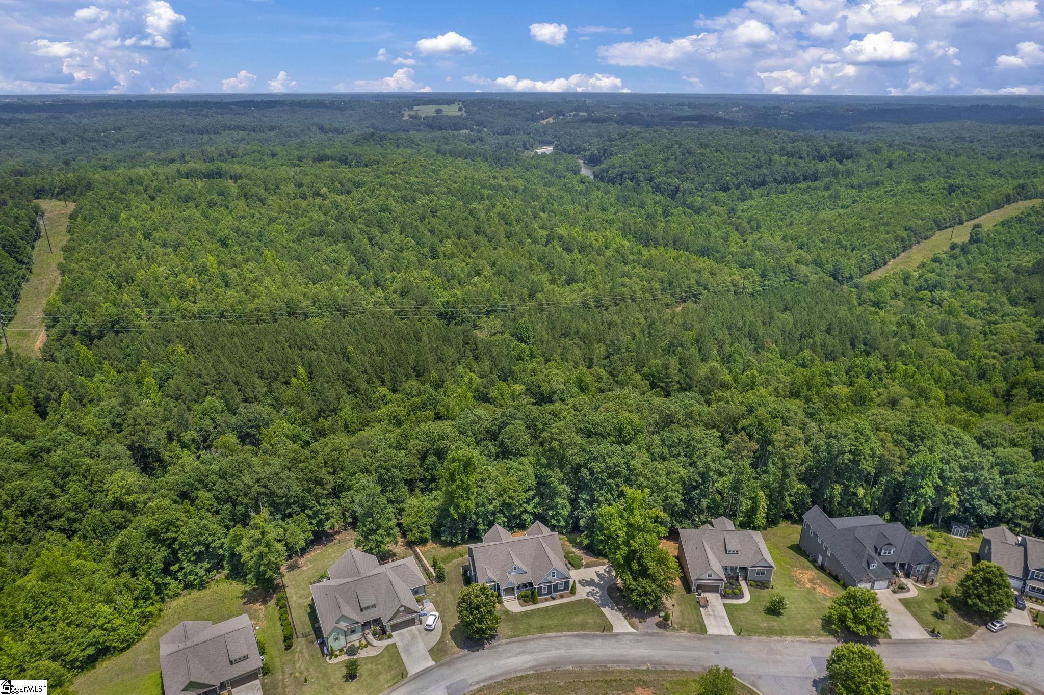 813 Olivine Court Chesnee, SC 29323
