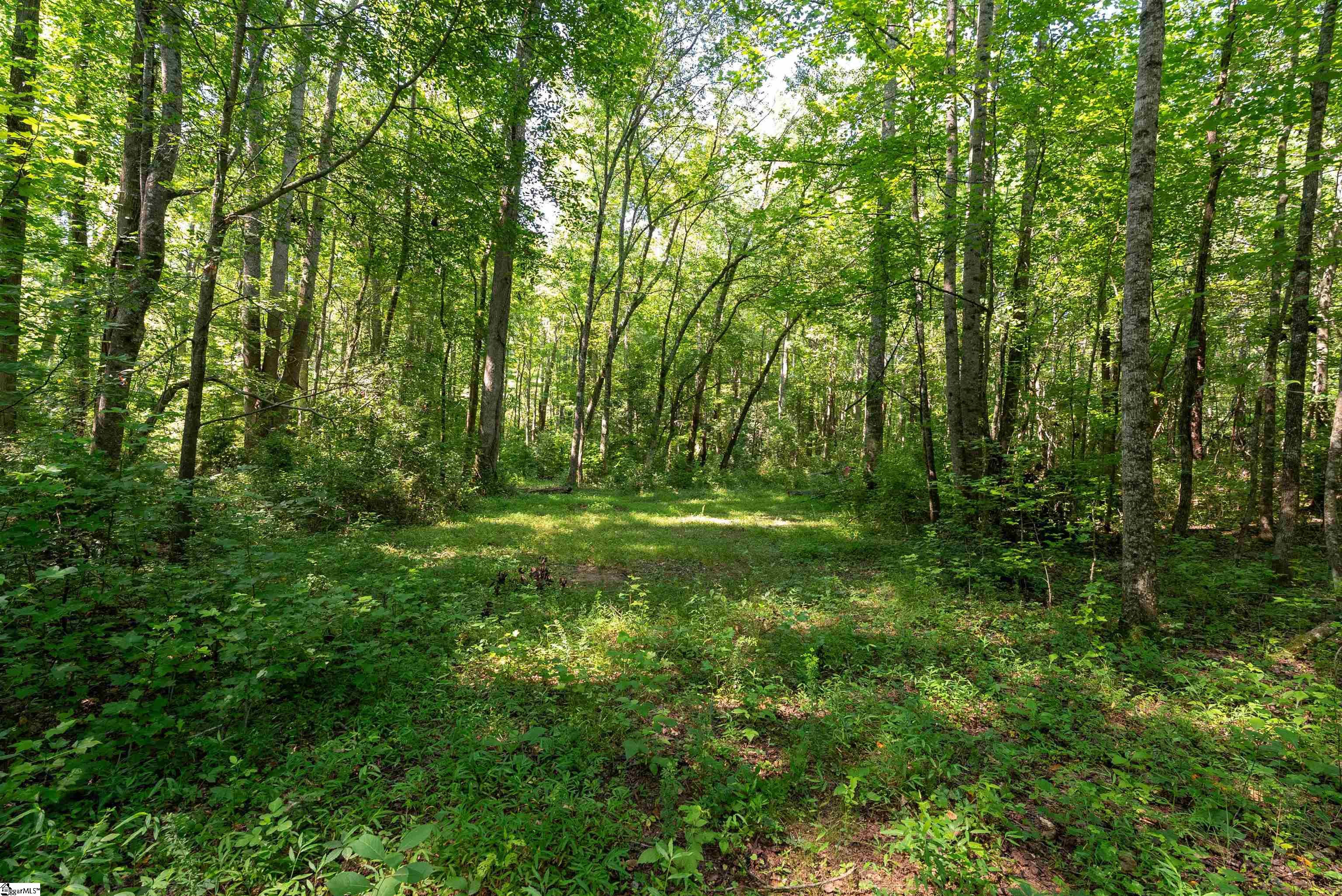 7004 Mountain View Road Taylors, SC 29687