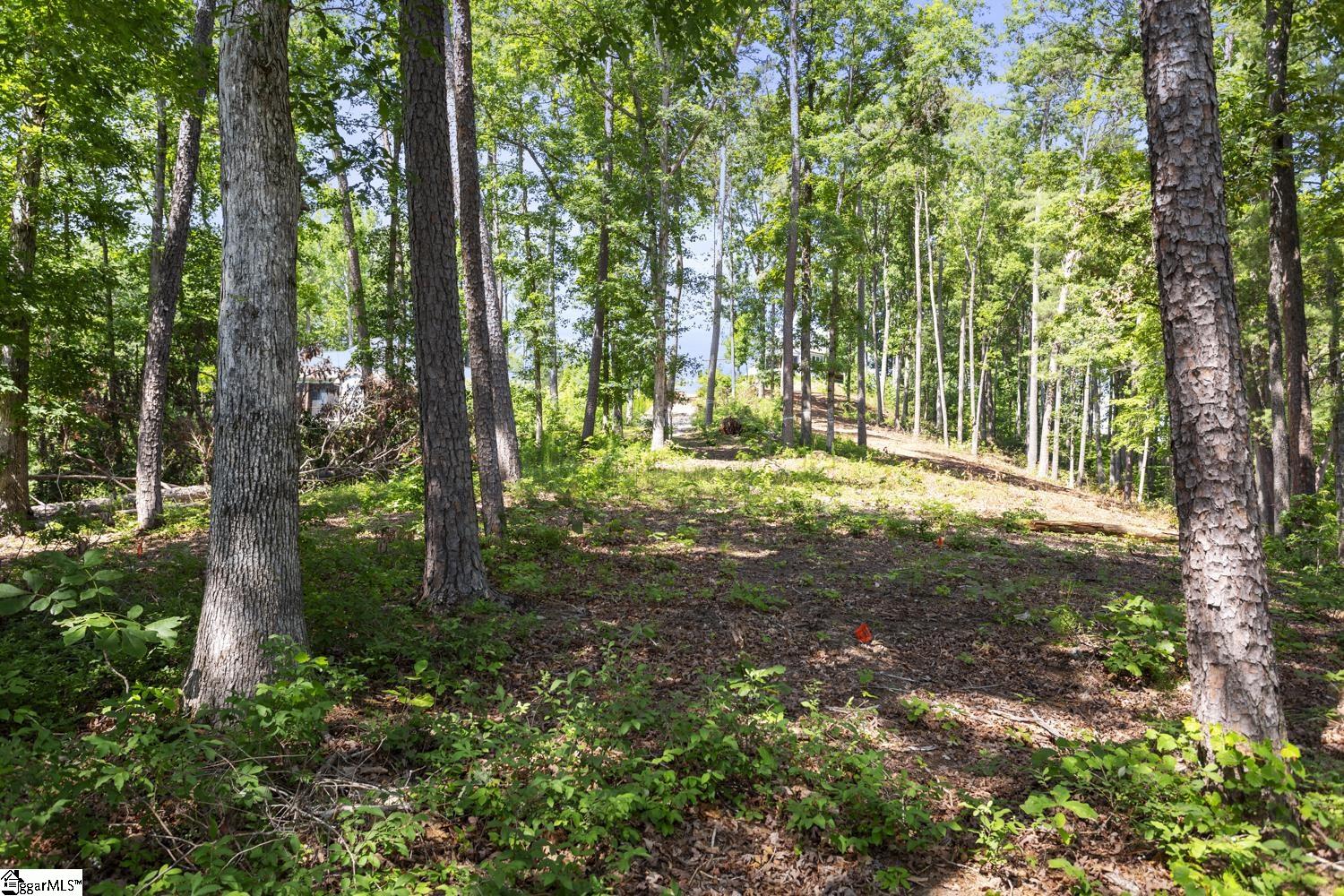 108 Hunter Hill Circle Lot 22, Six Mile SC 29682,Six Mile,Pickens,Land