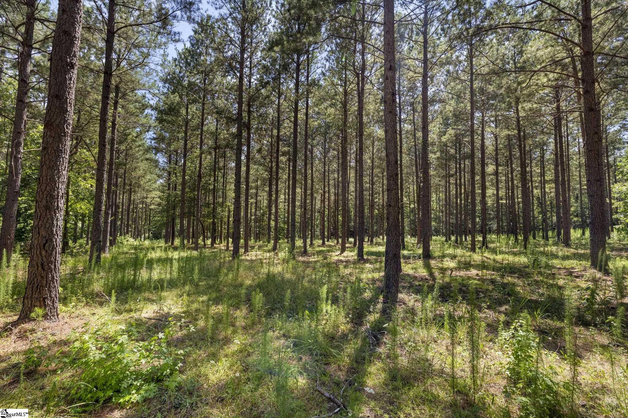 360 Terry Road Fountain Inn, SC 29644