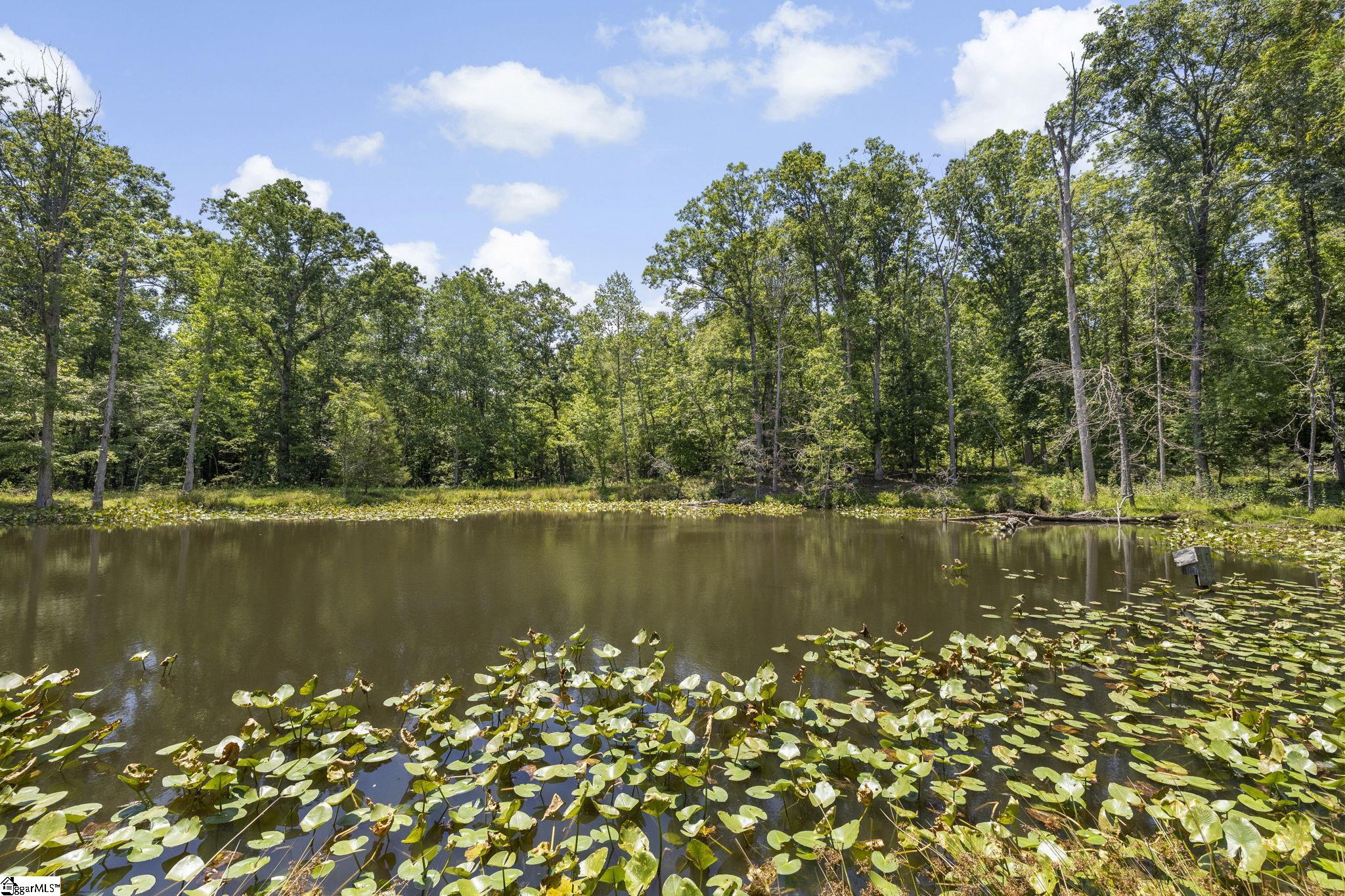 360 Terry Road Fountain Inn, SC 29644