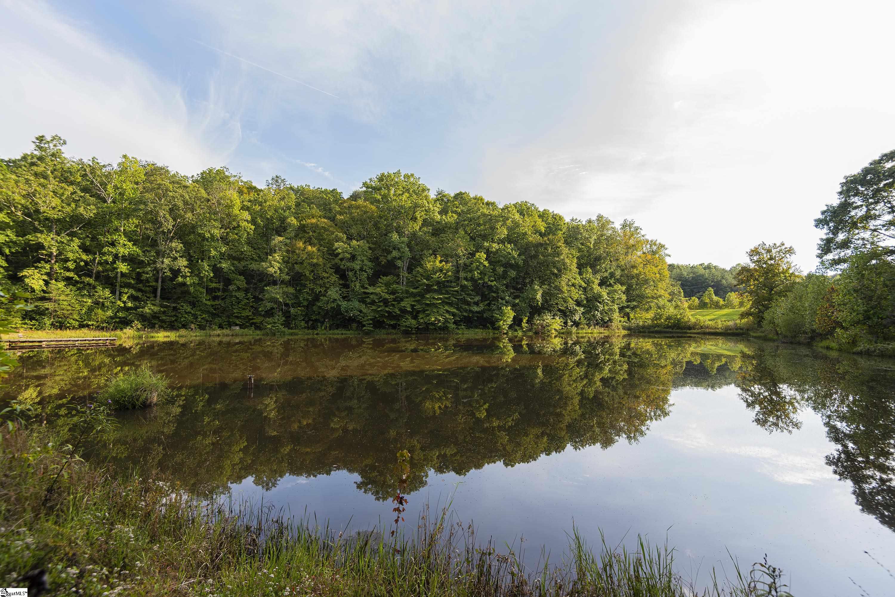 315, 317, Gibson Road Landrum, SC 29356