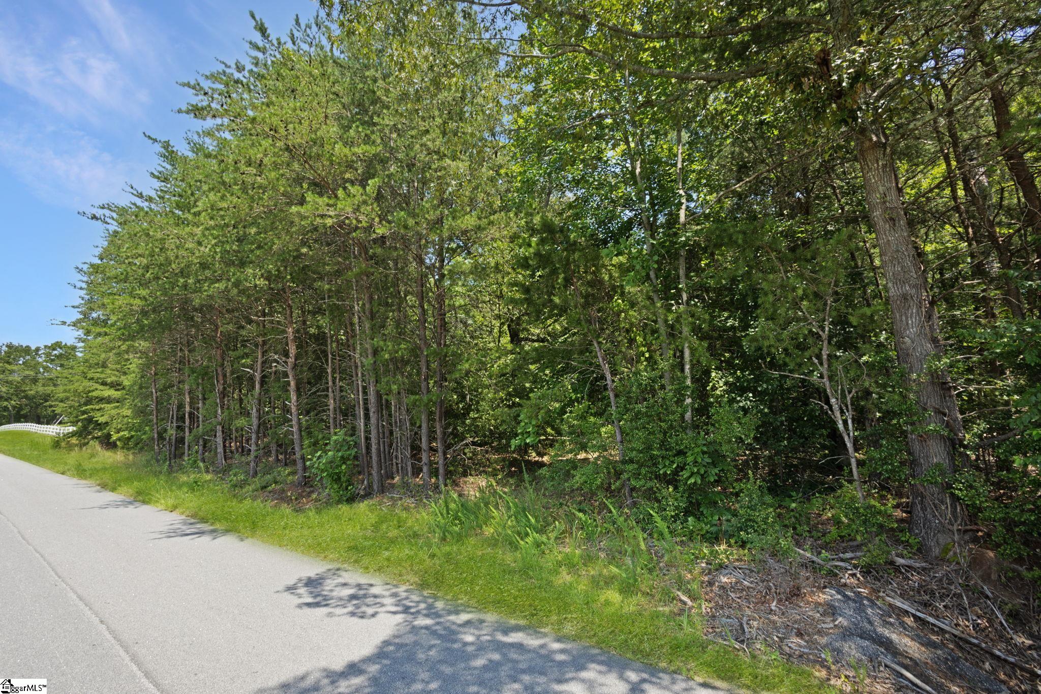 00 Shelton Road Travelers Rest, SC 29690