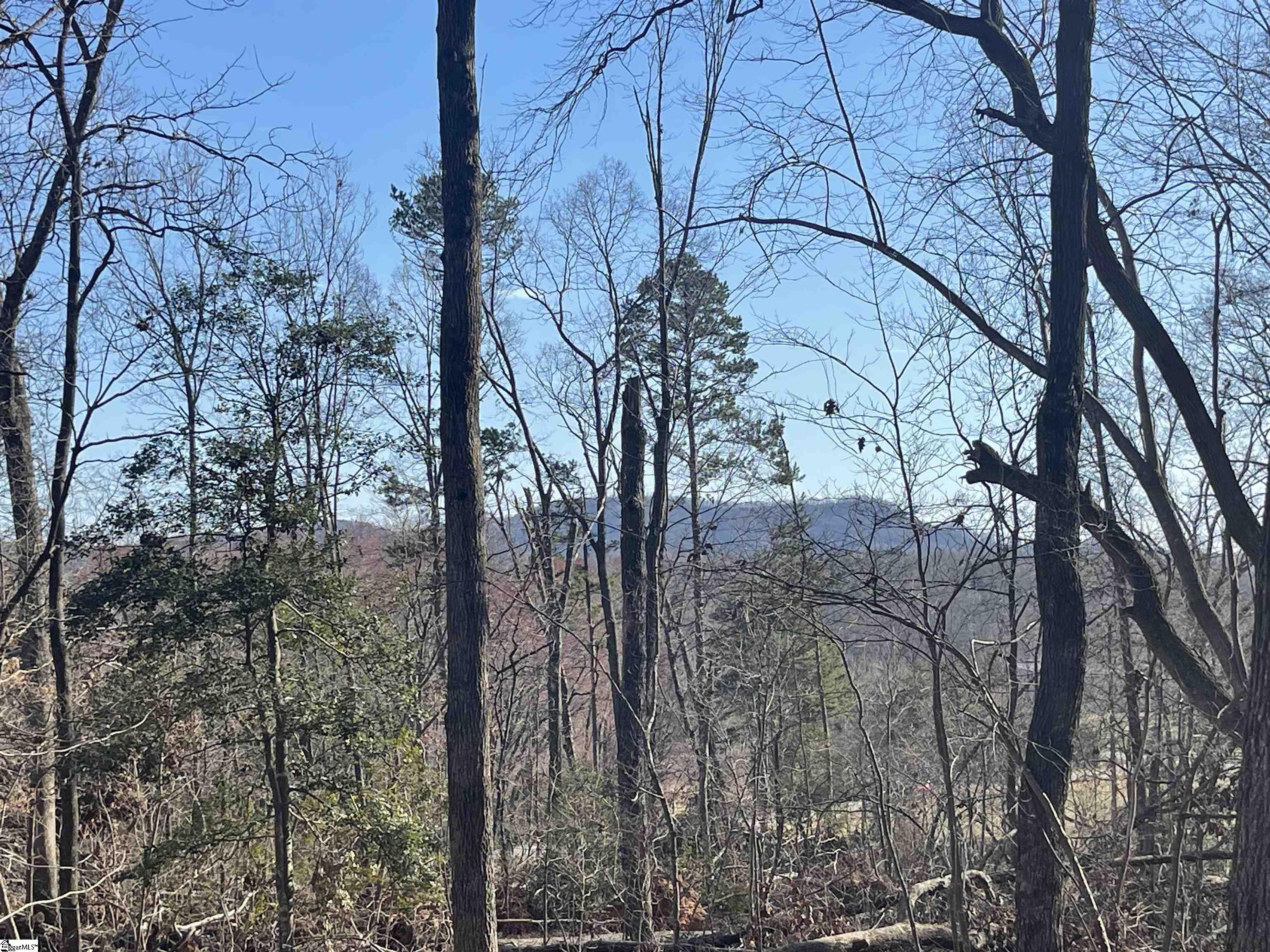 00 Shelton Road Travelers Rest, SC 29690