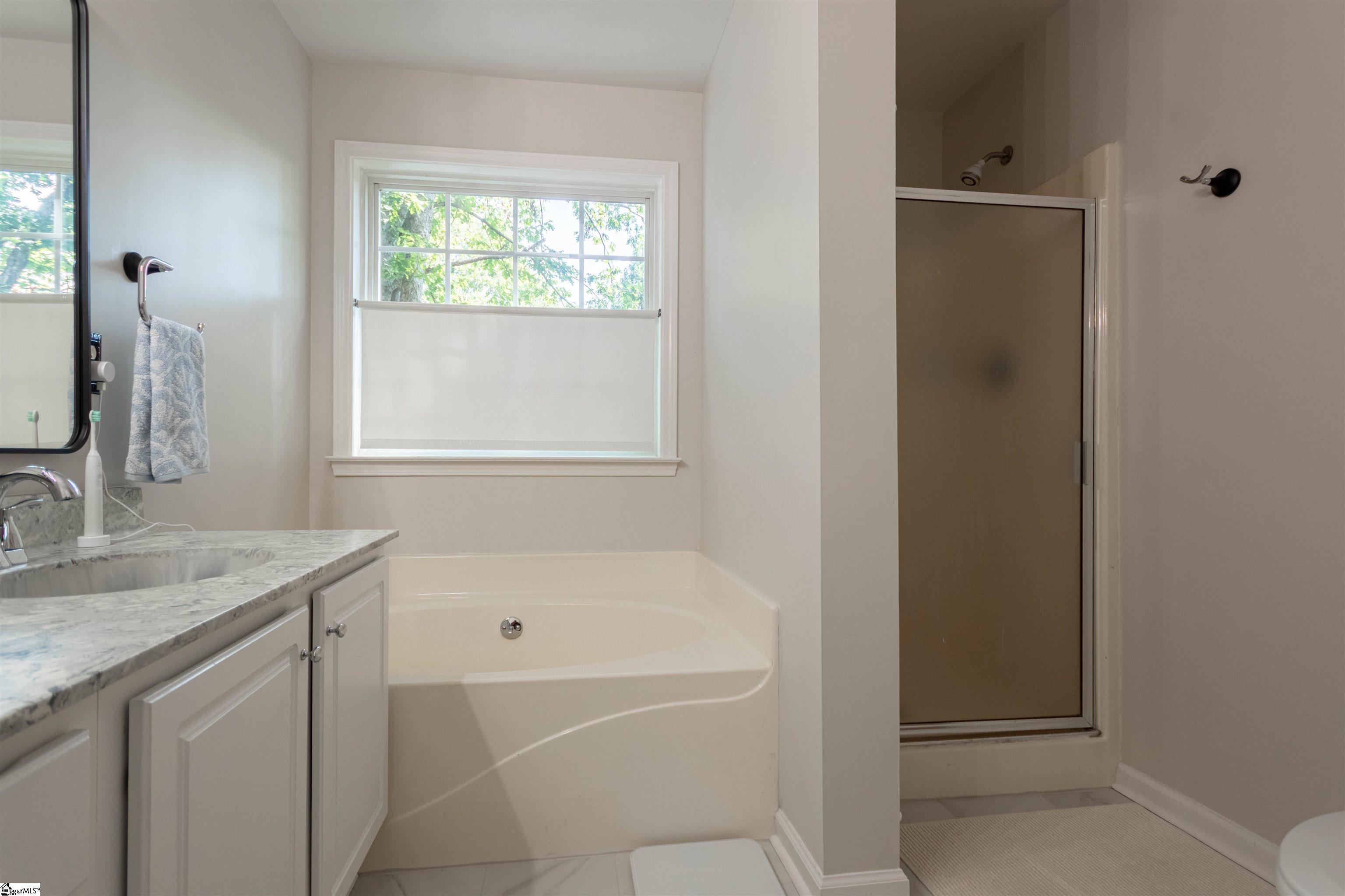 17 Angel Wing Court Taylors, SC 29687