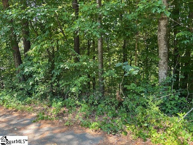 00 Fox Run Road UNIT Lot 57 Walhalla, SC 29691