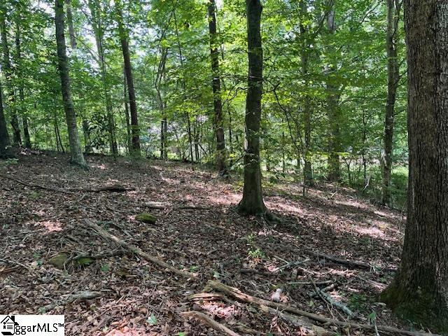 00 Fox Run Road UNIT Lot 57 Walhalla, SC 29691