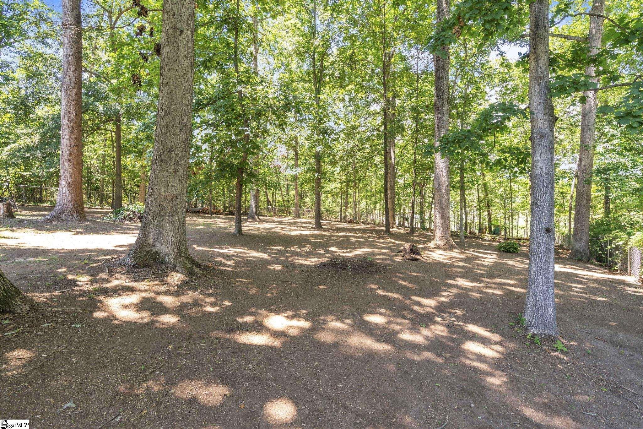 3709 Spearman Drive Greer, SC 29651