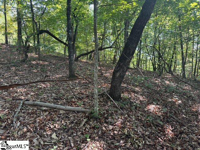 Scenic Mountain Drive Pickens, SC 29671