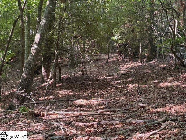 Scenic Mountain Drive Pickens, SC 29671