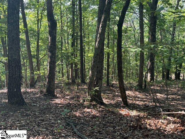Scenic Mountain Drive Pickens, SC 29671