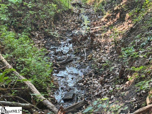 Scenic Mountain Drive Pickens, SC 29671