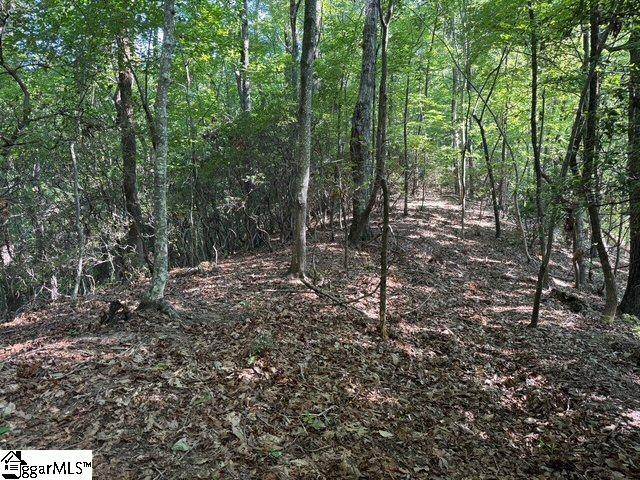 Scenic Mountain Drive Pickens, SC 29671